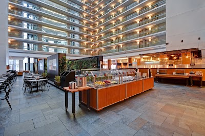 Embassy Suites by Hilton Chicago Downtown Magnificent Mile photo