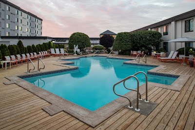 Holiday Inn & Suites Across From Universal Orlando, an IHG Hotel photo