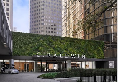 C. Baldwin, Curio Collection by Hilton photo