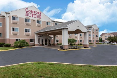 Comfort Suites Rochester Henrietta University Area photo